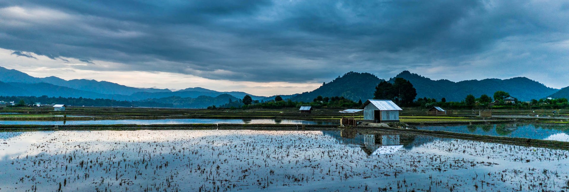 Ziro-Talley Valley Trek